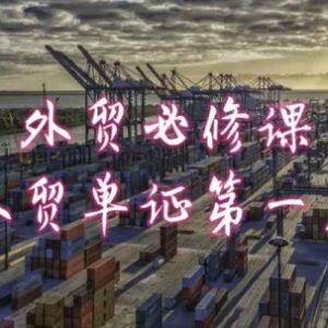 外贸单证全流程实操教程 报关退税物流业务必备学习资料-雨叶虚拟资源网