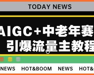 用AIGC布局中老年赛道 公众号流量主变现实操方法教程-雨叶虚拟资源网