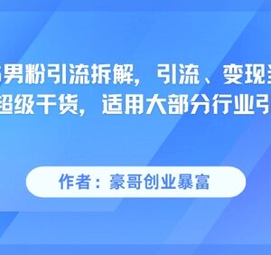 小红书男粉引流实用玩法拆解 引流变现快可适配多数行业-雨叶虚拟资源网