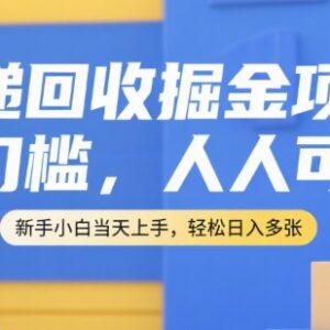 无门槛快递回收掘金项目介绍 新手可当天上手的长期稳定副业-雨叶虚拟资源网