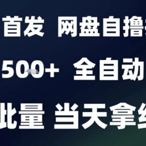 2025年9月网盘全自动拉新自撸玩法 小白可做可批量放大收益-雨叶虚拟资源网