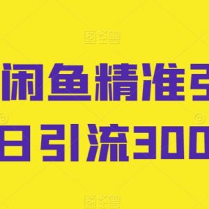 闲鱼精准引流全流程教程 教你实现日引流300+实操技巧-雨叶虚拟资源网