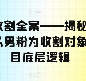 男粉类项目底层逻辑揭秘 主流引流变现玩法全梳理-雨叶虚拟资源网