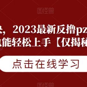 2023最新反撸诈骗玩法全解析 小白零基础也可轻松上手操作-雨叶虚拟资源网