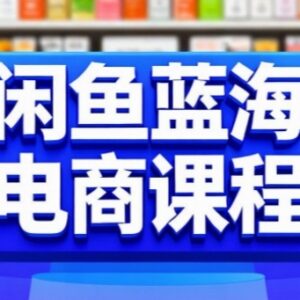 零基础闲鱼蓝海电商实操课 从开店到稳定盈利全流程教学-雨叶虚拟资源网
