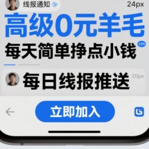 0元羊毛线报社群项目分享 操作广告类APP每天稳赚小额收益-雨叶虚拟资源网