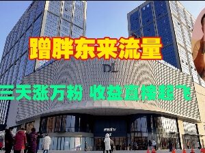 2025蹭胖东来流量视频号玩法 三天涨万粉变现实操教程-雨叶虚拟资源网