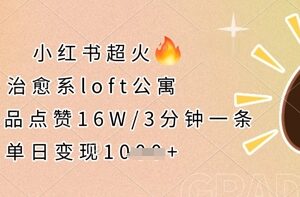 小红书高赞治愈系LOFT公寓短视频制作 低门槛易上手可变现-雨叶虚拟资源网