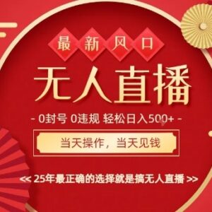 2025最新快手AI无人直播玩法 低门槛零违规操作当天可见收益-雨叶虚拟资源网