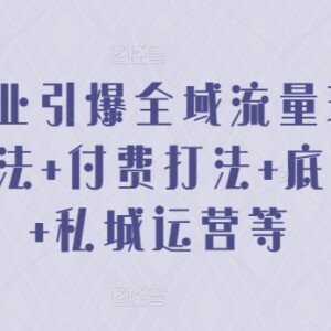 2024美业全域流量实操攻略 含素材打法付费投放私域运营技巧-雨叶虚拟资源网