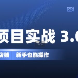 虚拟项目实战3.0教程 新手低投入打造可长期操作的自动盈利店铺-雨叶虚拟资源网