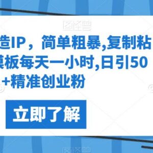 快手图文IP打造全流程实操教程 每日1小时引流50+精准创业粉-雨叶虚拟资源网