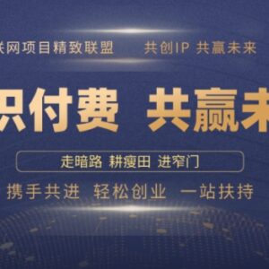2025年做知识付费卖项目年入百万 全流程实操方法揭秘-雨叶虚拟资源网