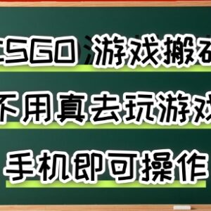 无需电脑的CSGO手机搬砖项目 无游戏经验可操作当日见收益-雨叶虚拟资源网