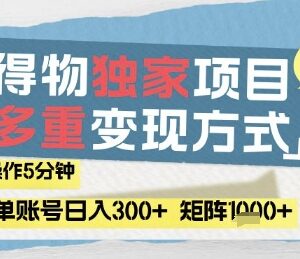 得物流量主蓝海变现玩法拆解 低门槛操作轻松获取稳定收益-雨叶虚拟资源网