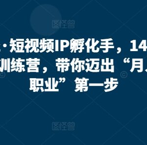 14天自然流短视频IP孵化手训练营 从0学爆款打造开启高薪新职业-雨叶虚拟资源网