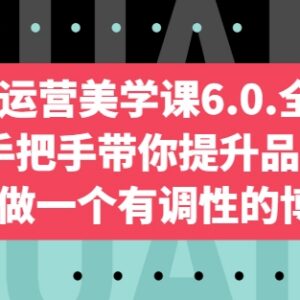 自媒体运营美学课6.0全新升级 手把手教博主提升审美打造高调性账号-雨叶虚拟资源网
