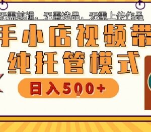 快手小店托管代运营项目解析 零操作低门槛副业增收攻略-雨叶虚拟资源网
