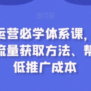 拼多多运营必学体系课 最新流量获取方法与推广成本优化教程-雨叶虚拟资源网