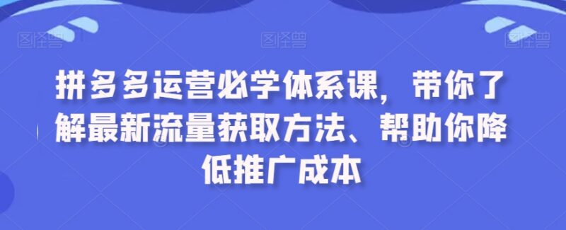 拼多多运营必学体系课 最新流量获取方法与推广成本优化教程