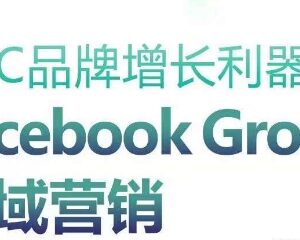 DTC品牌增长实操:Facebook Group私域营销策略全指南-雨叶虚拟资源网