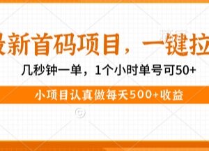 2024最新一键拉新首码项目 单号1小时收益50+操作无门槛-雨叶虚拟资源网