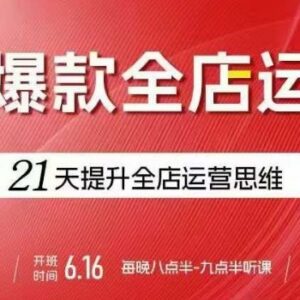 贾真21天电商全店运营课 从选品起店到群爆款打造实操教学-雨叶虚拟资源网