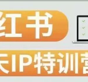 第3期28天小红书博主IP特训营 0基础起号涨粉变现实操指南-雨叶虚拟资源网