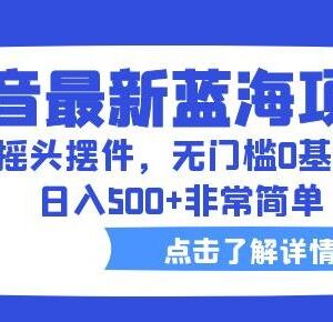 抖音汽车摇头摆件蓝海项目拆解 0基础无门槛实操教程-雨叶虚拟资源网
