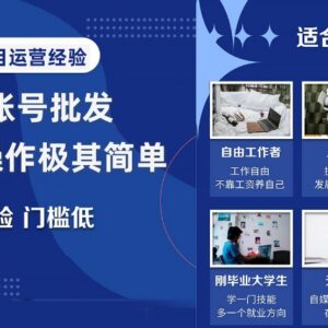 0基础可做的自媒体账号批发项目 低门槛盈利操作全指南-雨叶虚拟资源网