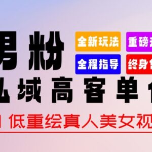 2024全新男粉变现玩法 0基础AI改视频过原创暴力涨粉多途径变现-雨叶虚拟资源网