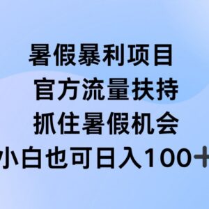暑假低门槛不露脸直播赚钱项目 官方流量扶持新手可快速上手-雨叶虚拟资源网