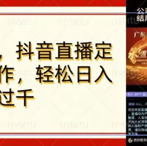 2024年底定制视频直播变现项目拆解 操作简单零基础可上手-雨叶虚拟资源网
