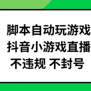 抖音小游戏脚本自动挂机直播玩法 无违规可批量操作项目解析-雨叶虚拟资源网