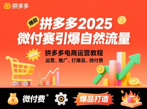 2025拼多多微付费运营教程 推广打爆品引爆自然流量实操
