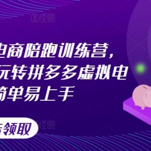 拼多多虚拟电商从0到1教学 选品推广及避坑技巧全解析-雨叶虚拟资源网