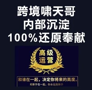 漫威跨境特训营跨境电商教程 选品运营推广全流程实操教学-雨叶虚拟资源网