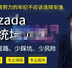 2023熊猫老师Lazada系统课 跨境本土店全链路运营实操指南-雨叶虚拟资源网
