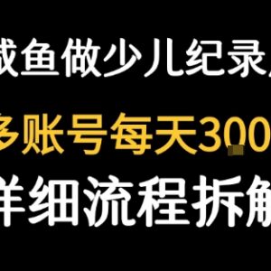 闲鱼售卖纪录片低单价走量项目 单天几十单全流程实操教程-雨叶虚拟资源网