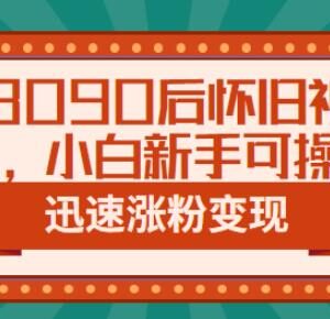 抖音8090后怀旧短视频运营教程 新手可操作快速涨粉变现-雨叶虚拟资源网