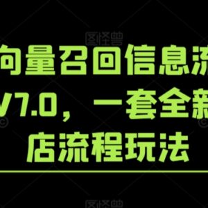 淘系向量召回信息流闭环玩法V7.0 全新起店全流程实操教程-雨叶虚拟资源网