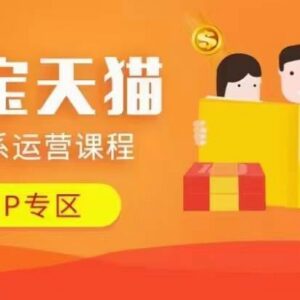 2024年更新淘宝天猫全体系运营课程 含动销选品实操玩法-雨叶虚拟资源网