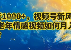 视频号中老年情感视频赚钱项目拆解 7天收益超1k可月入过万-雨叶虚拟资源网