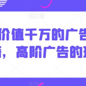 高阶广告投放玩法详解 Alice价值千万的广告打法核心秘籍-雨叶虚拟资源网