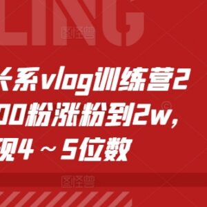 个人成长系vlog训练营实操课 从起号涨粉到商业变现全流程教学-雨叶虚拟资源网