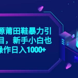 2023无货源莆田鞋引流项目攻略 0基础新手可实操上手变现-雨叶虚拟资源网
