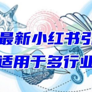 2024全行业通用小红书引流技巧 零基础小白也可轻松涨粉-雨叶虚拟资源网