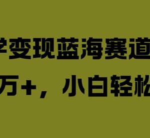 2024王阳明心学国学变现蓝海项目 小白可操作低门槛副业玩法-雨叶虚拟资源网