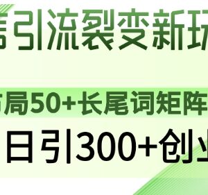 微信问一问精准引流实操攻略 布局长尾词矩阵日引300+创业粉-雨叶虚拟资源网