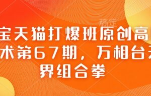 淘宝天猫高阶运营第67期：万相台无界组合拳实操玩法详解-雨叶虚拟资源网